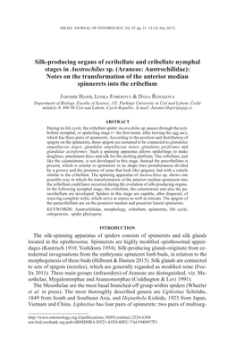 Silk-Producing Organs of Ecribellate and Cribellate Nymphal Stages in Austrochilus Sp