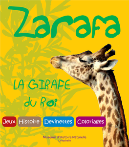 LA GIRAFE Du Roi