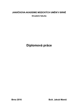 Diplomová Práce