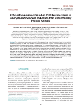 Echinostoma Macrorchis in Lao PDR: Metacercariae in Cipangopaludina Snails and Adults from Experimentally Infected Animals