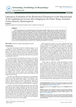 Laboratory Evaluation of the Biochemical Parameters in the Haemolymph of the Lepidopteran Larvae After Stinging by the Potter Wa