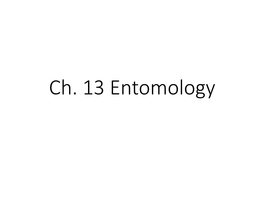 Forensic Entomology Entomology Is the Study of Insects