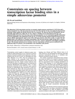 Constraints on Spacing Between Transcription Factor Binding Sites in a Simple Adenovlrus Promoter