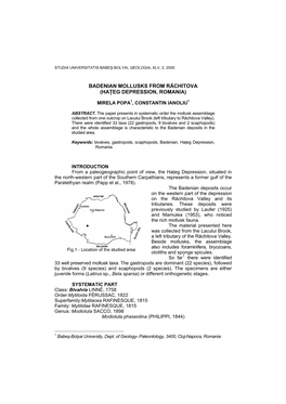 Badenian Mollusks from Rachitova (Hateg Depression, Romania)