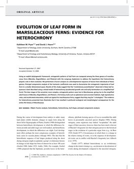 Evolution of Leaf Form in Marsileaceous Ferns: Evidence for Heterochrony