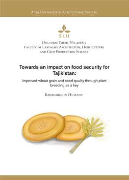 Towards an Impact on Food Security for Tajikistan