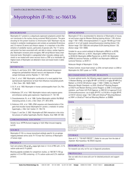 Datasheet Blank Template