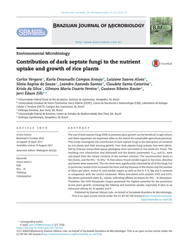 Contribution of Dark Septate Fungi to the Nutrient Uptake And