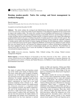 Burning Monkey-Puzzle: Native Fire Ecology and Forest Management In