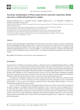 Taxonomy and Phylogeny of Pluteus Glaucotinctus Sensu Lato (Agaricales, Basidi- Omycota), a Multicontinental Species Complex