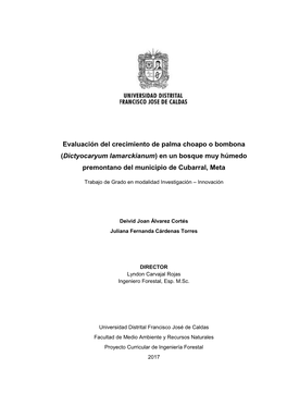 Evaluación Del Crecimiento De Palma Choapo O Bombona (Dictyocaryum Lamarckianum) En Un Bosque Muy Húmedo Premontano Del Municipio De Cubarral, Meta