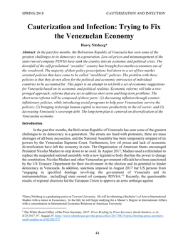 Cauterization and Infection: Trying to Fix the Venezuelan Economy