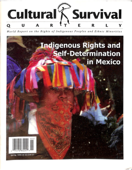 Indigenous Rights and Self-Determination in Mexico