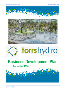 Torrs Hydro Business Development Plan 2020.Docx