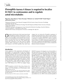 Drosophila Aurora a Kinase Is Required to Localize D-TACC to Centrosomes and to Regulate Astral Microtubules