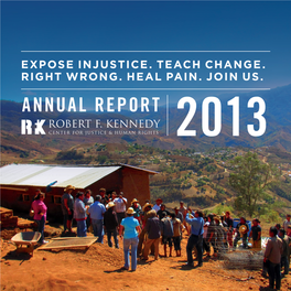 2013 Annual Report of the Robert F