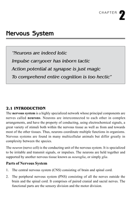 Nervous System