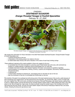 SOUTHEAST ECUADOR: Orange-Throated Tanager & Foothill Specialties