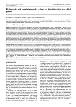 Phylogenetic and Morphotaxonomic Revision of Ramichloridium and Allied Genera