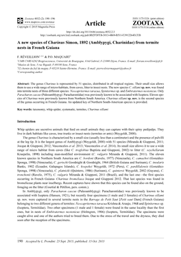 (Amblypygi, Charinidae) from Termite Nests in French Guiana