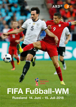 FIFA Fußball-WM Russland 14