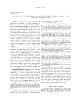 Life History of Pontia Daplidice Moorei (Röber) (Lepidoptera : Pieridae) from Himachal Pradesh, India