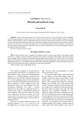 Microtia and Anotia in a Dog