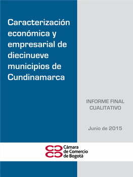 Caracterización Económica Y Empresarial De Diecinueve Municipios De Cundinamarca