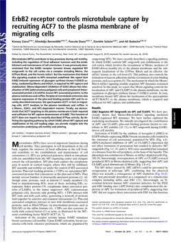 Erbb2 Receptor Controls Microtubule Capture by Recruiting ACF7 to the Plasma Membrane of Migrating Cells