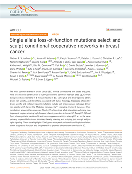 Single Allele Loss-Of-Function Mutations Select and Sculpt Conditional Cooperative Networks in Breast Cancer