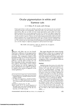 Ocular Pigmentation in White and Siamese Cats