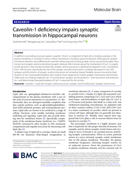 Caveolin-1 Deficiency Impairs Synaptic Transmission in Hippocampal