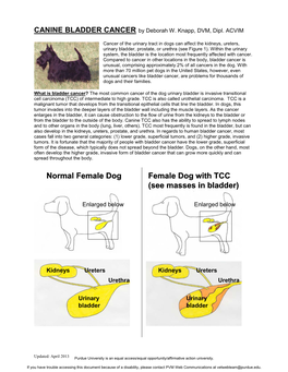 CANINE BLADDER CANCER by Deborah W