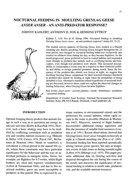 Nocturnal Feeding in Moulting Greylag Geese Anser Anser - an Anti-Predator Response?