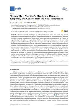 Membrane Damage, Response, and Control from the Viral Perspective