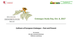 Crataegus Monogyna Are Sometimes Incorrectly Classified and May Belong to Their Hybrid Crataegus ×Media