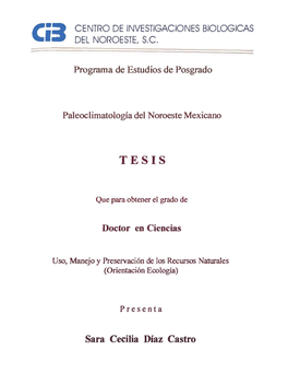 Diaz S TESIS.Pdf