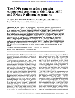 The POP1 Gene Encodes a Protein Component Common to the Rnase MRP and Rnase P Ribonucleoproteins