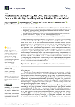 Relationships Among Fecal, Air, Oral, and Tracheal Microbial Communities in Pigs in a Respiratory Infection Disease Model