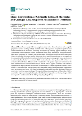 Sterol Composition of Clinically Relevant Mucorales and Changes Resulting from Posaconazole Treatment