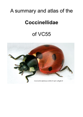 VC55 Coccinellidae Atlas