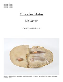 Educator Notes Liz Larner