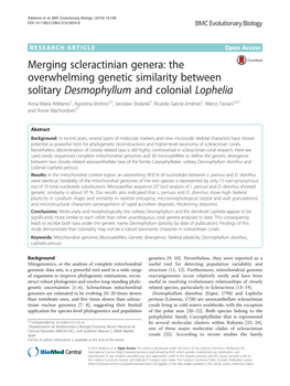 The Overwhelming Genetic Similarity Between Solitary Desmophyllum