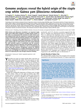 Genome Analyses Reveal the Hybrid Origin of the Staple Crop White Guinea Yam (Dioscorea Rotundata)