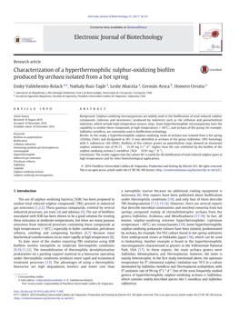 Characterization of a Hyperthermophilic Sulphur-Oxidizing Bioﬁlm Produced by Archaea Isolated from a Hot Spring