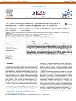 Zinc Finger MYND-Type Containing 8 Promotes Tumour Angiogenesis Via