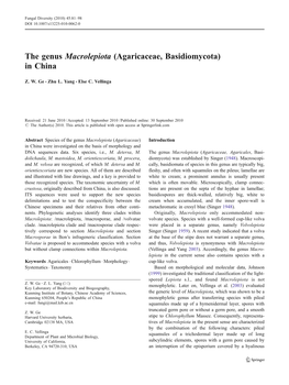 The Genus Macrolepiota (Agaricaceae, Basidiomycota) in China