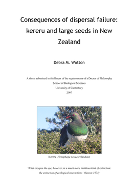 Kereru and Large Seeds in New Zealand