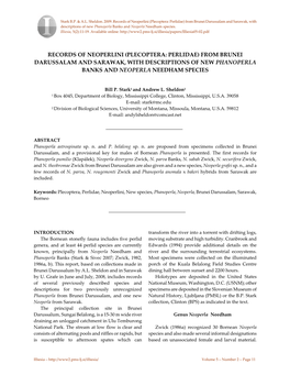 Plecoptera: Perlidae) from Brunei Darussalam and Sarawak, with Descriptions of New Phanoperla Banks and Neoperla Needham Species