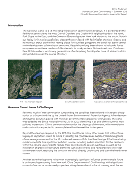 Introduction Gowanus Canal: Issues & Challenges